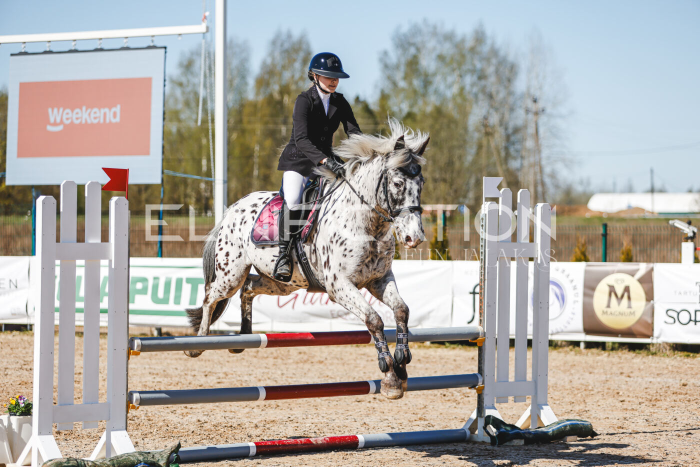 Gramina_Volber_2026_90_0277