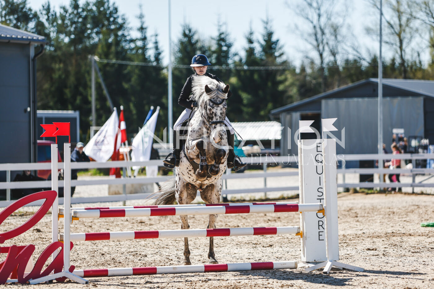 Gramina_Volber_2026_90_0288