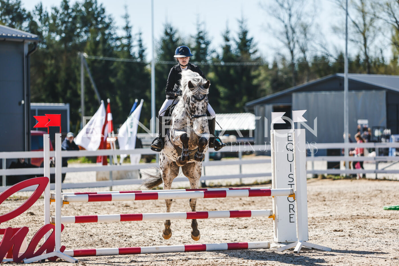 Gramina_Volber_2026_90_0289