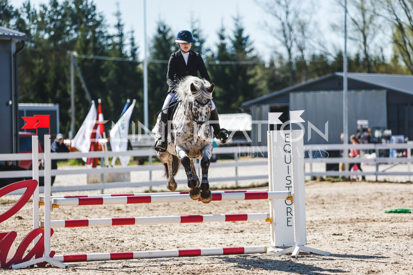 Gramina_Volber_2026_90_0292