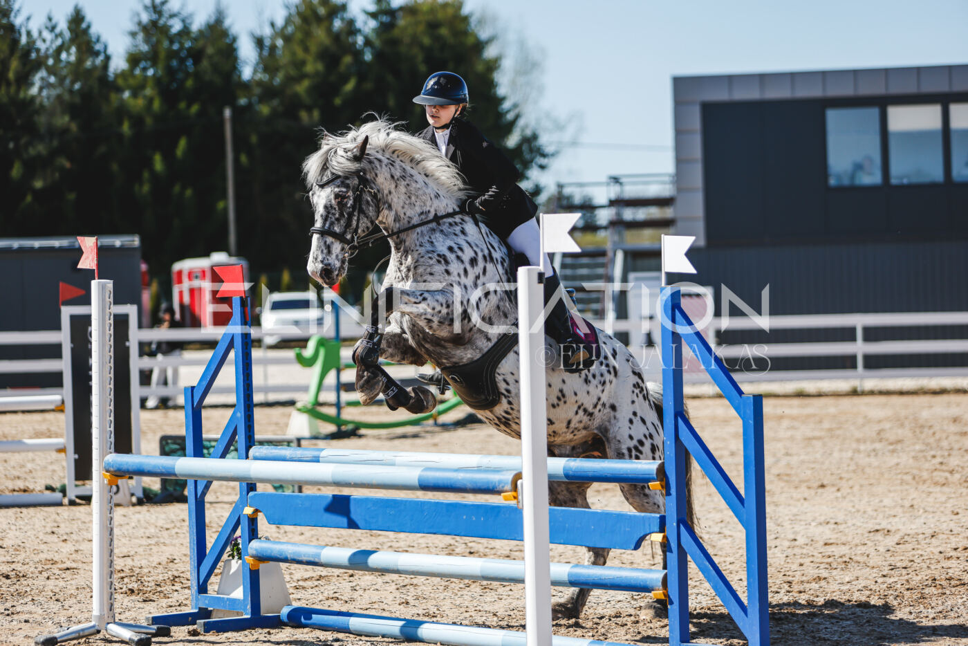 Gramina_Volber_2026_90_0298