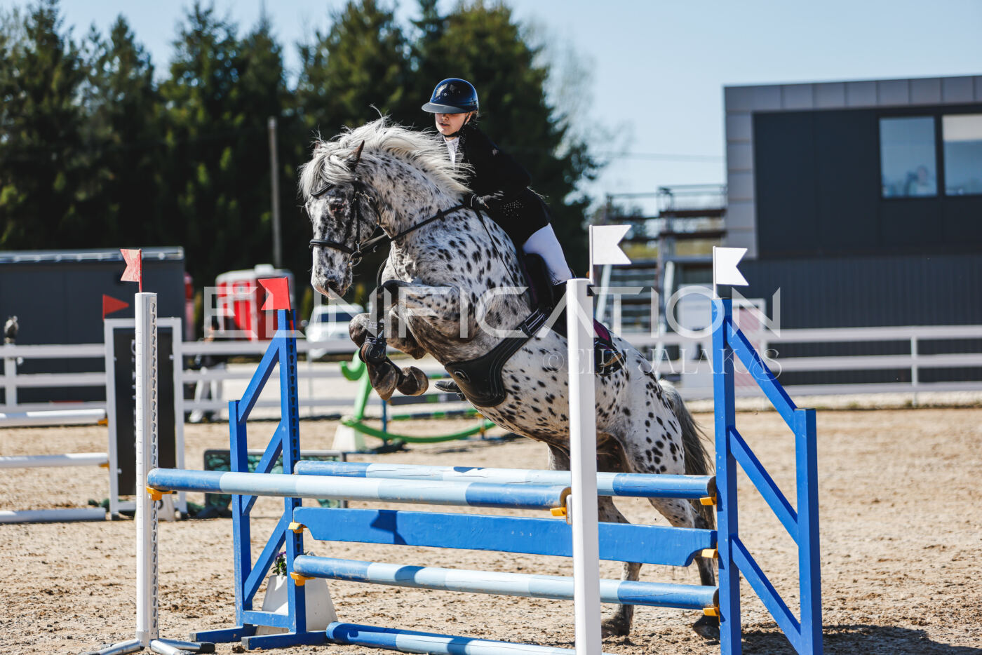 Gramina_Volber_2026_90_0299