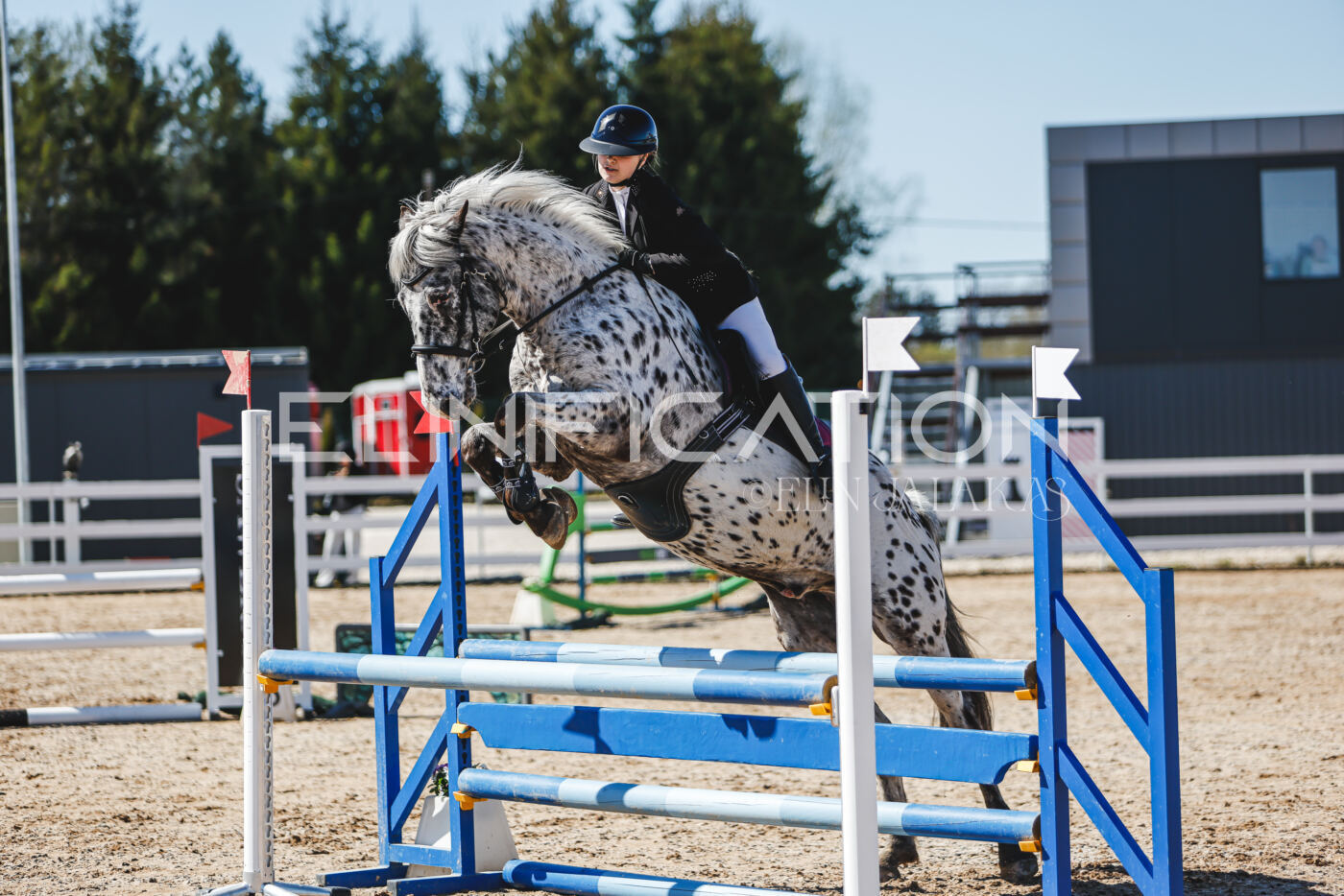 Gramina_Volber_2026_90_0300
