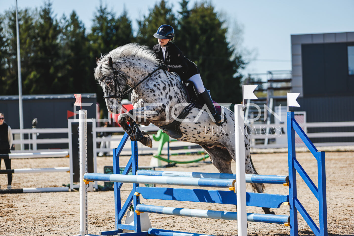 Gramina_Volber_2026_90_0301