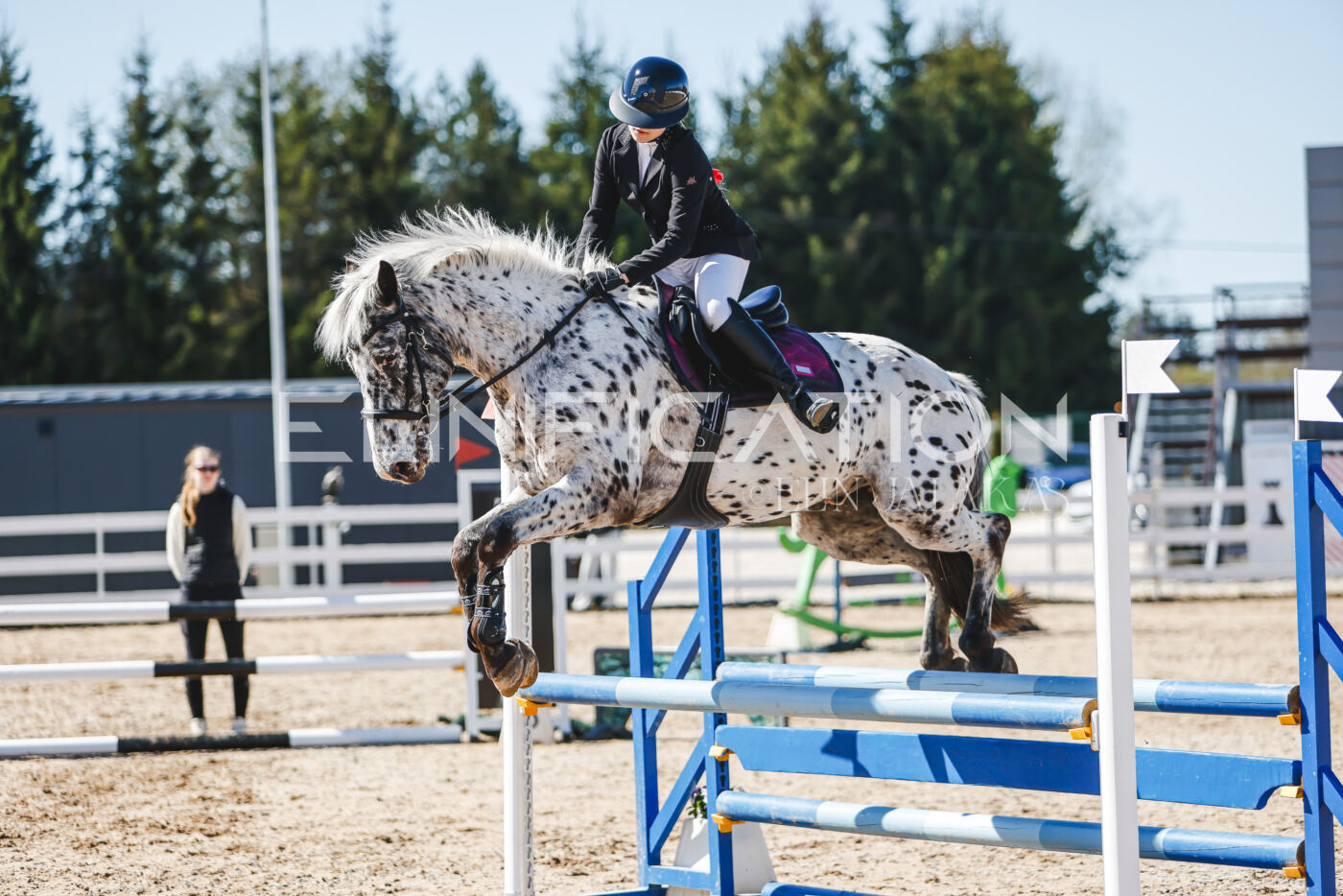 Gramina_Volber_2026_90_0304