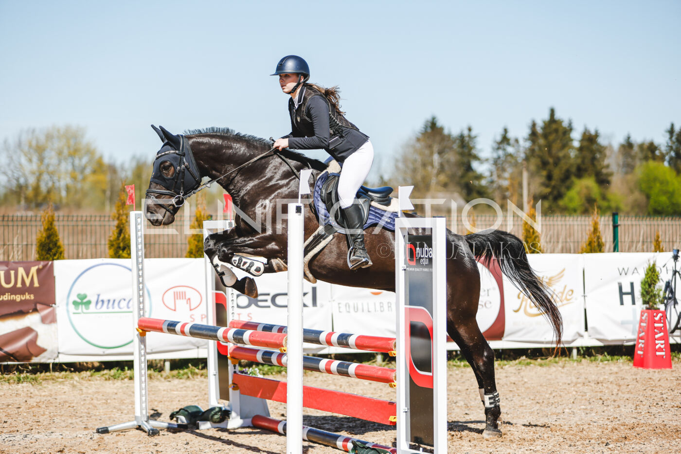Gramina_Volber_2026_90_0305