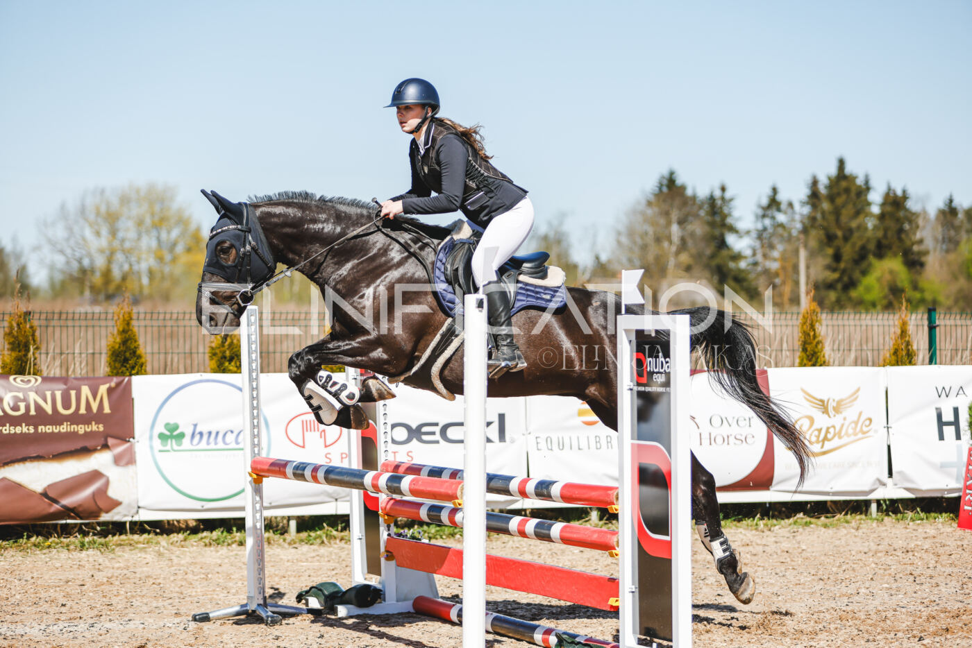 Gramina_Volber_2026_90_0306