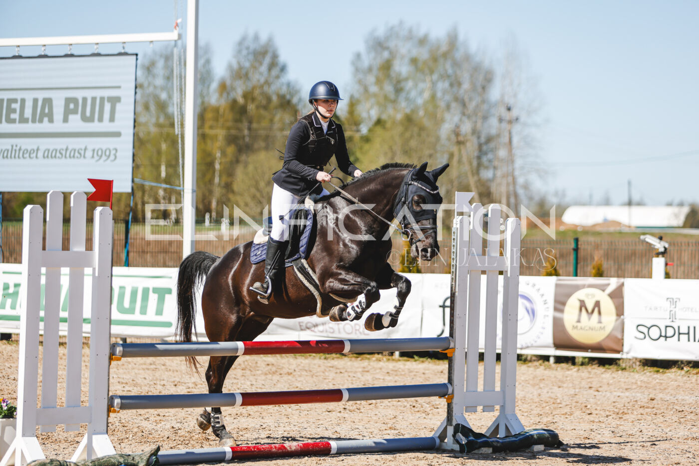 Gramina_Volber_2026_90_0311