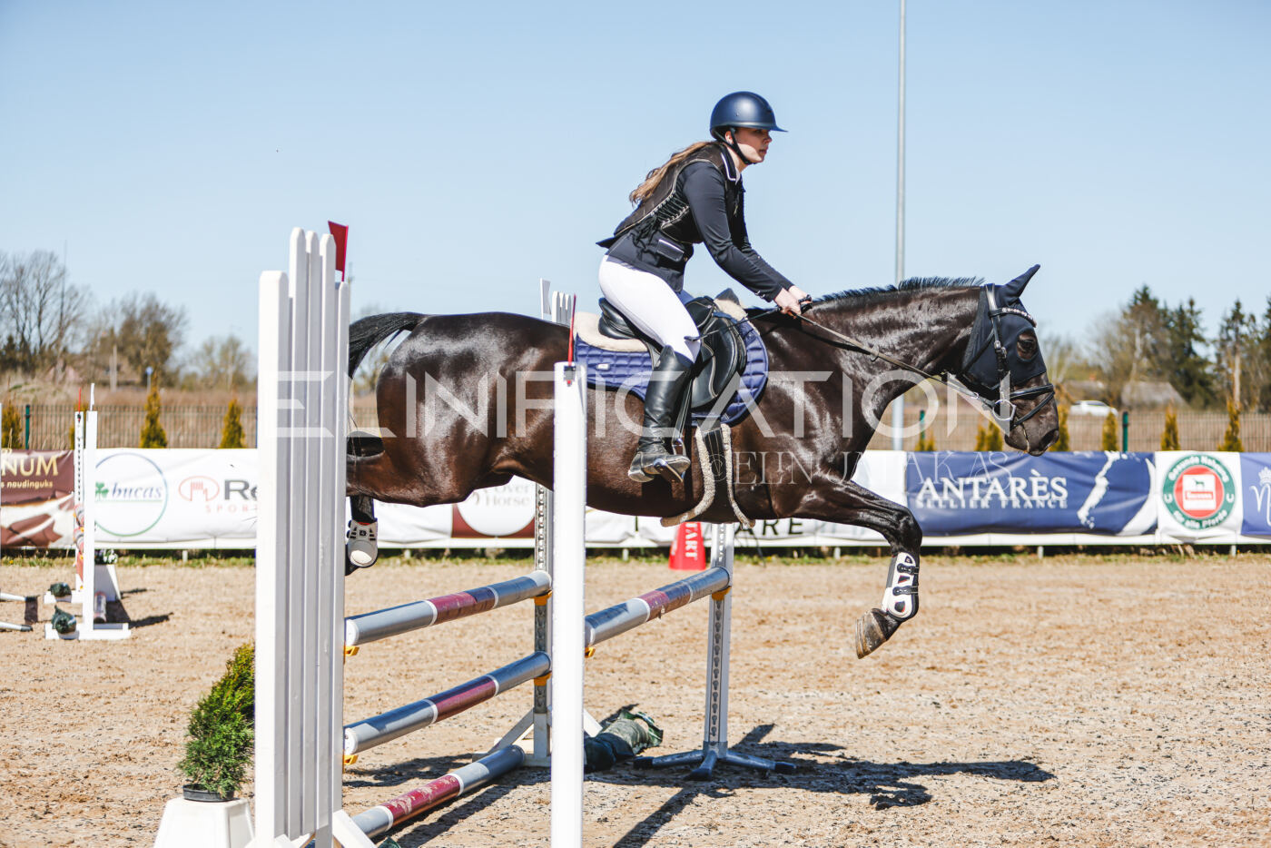 Gramina_Volber_2026_90_0319