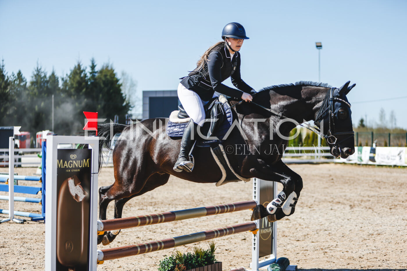 Gramina_Volber_2026_90_0335