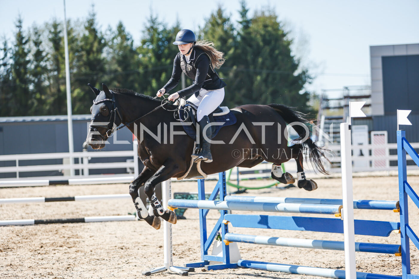 Gramina_Volber_2026_90_0338
