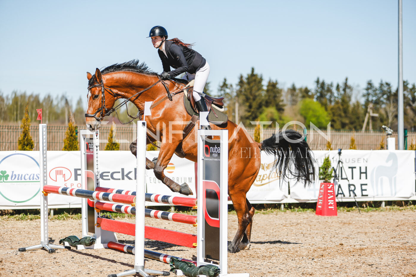 Gramina_Volber_2026_90_0339