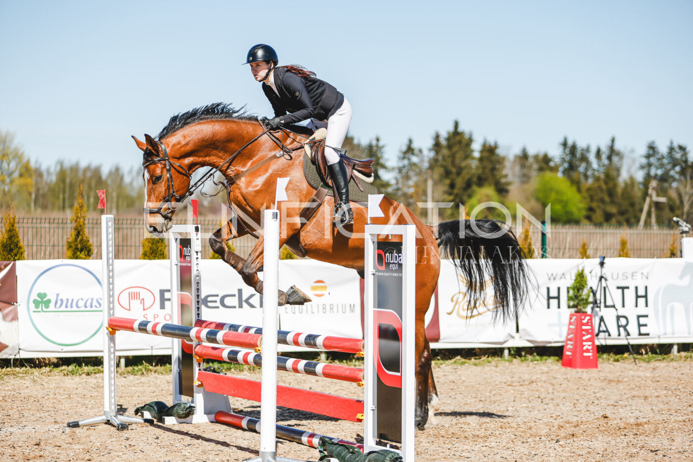 Gramina_Volber_2026_90_0340