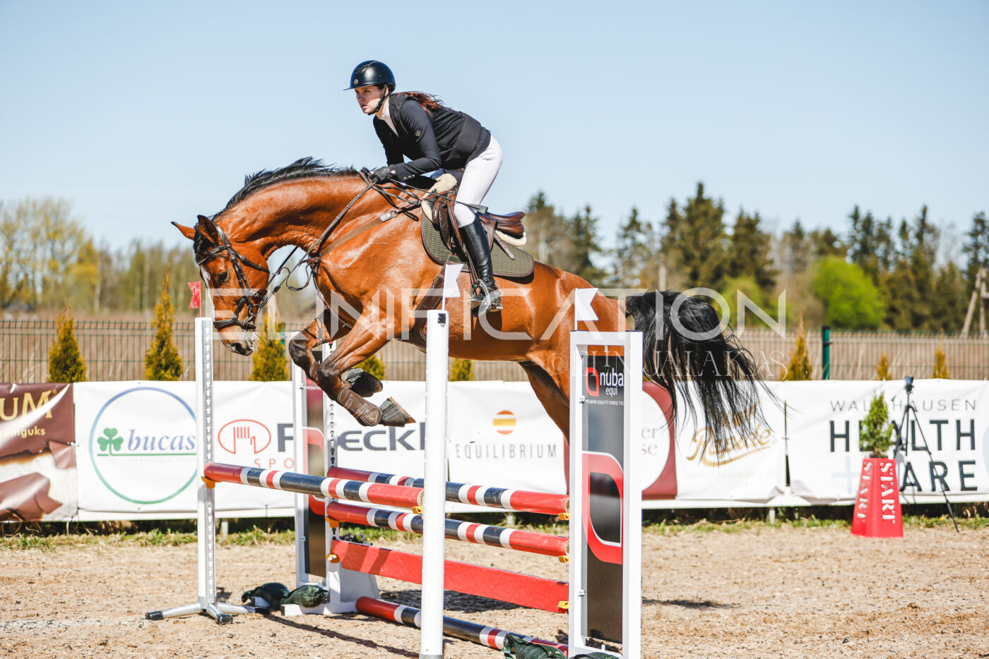 Gramina_Volber_2026_90_0341