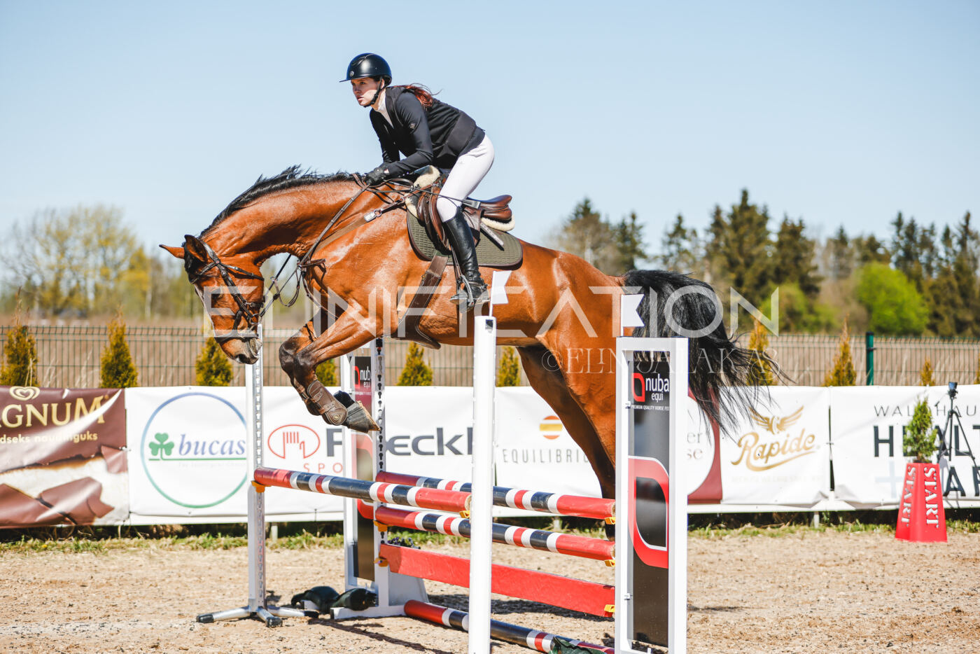 Gramina_Volber_2026_90_0342