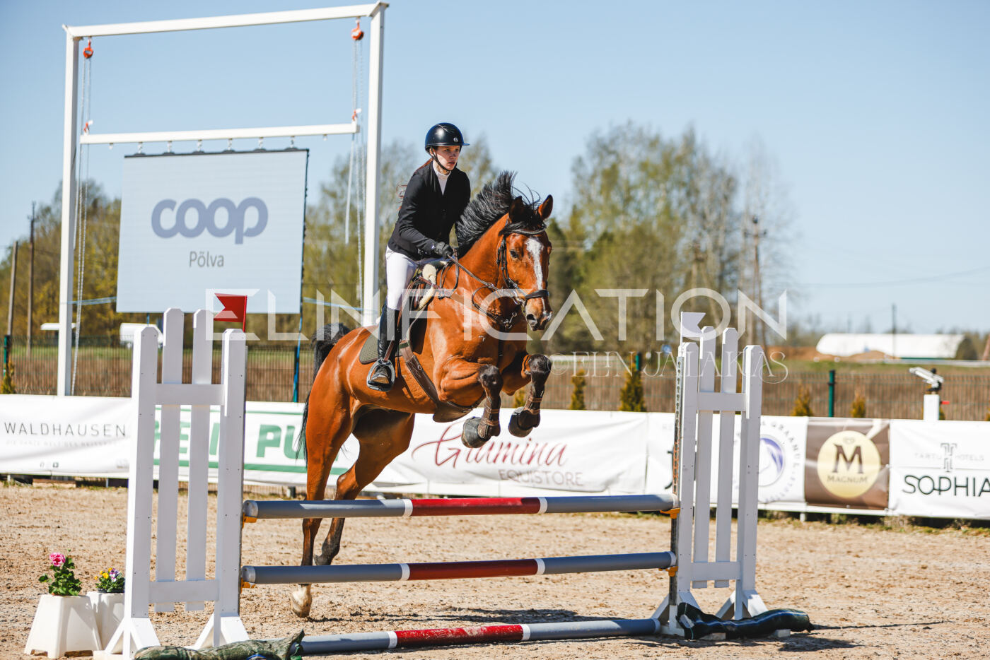 Gramina_Volber_2026_90_0345