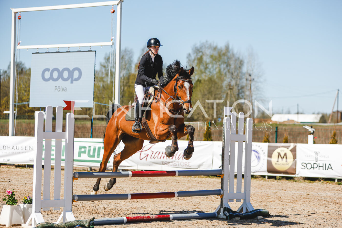 Gramina_Volber_2026_90_0346
