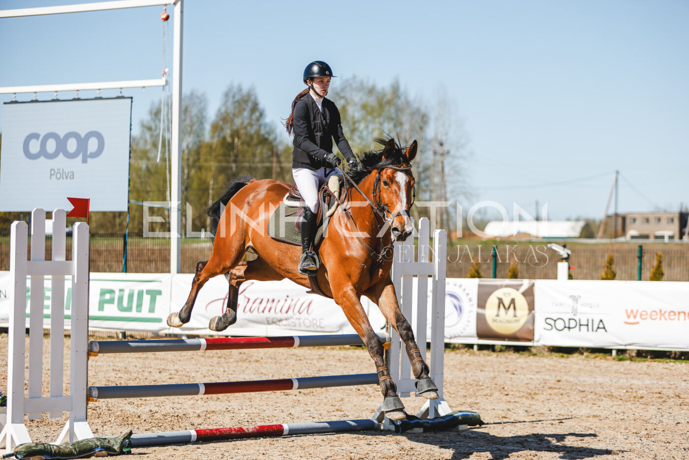 Gramina_Volber_2026_90_0349