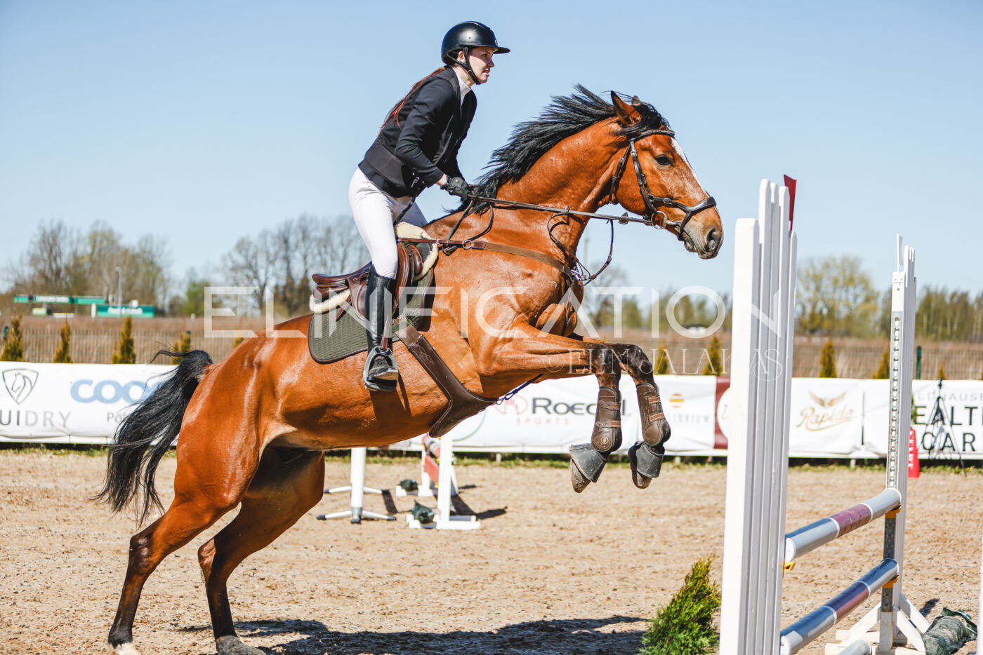 Gramina_Volber_2026_90_0350