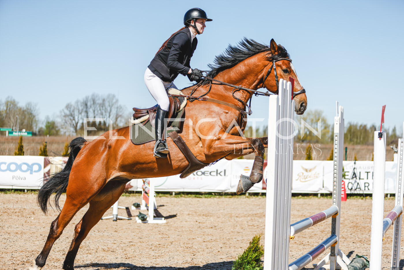 Gramina_Volber_2026_90_0351