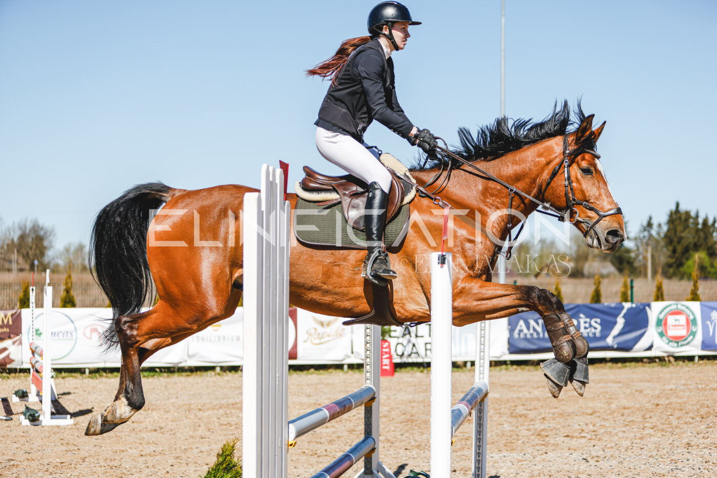 Gramina_Volber_2026_90_0354