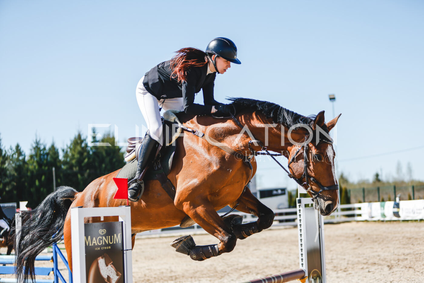 Gramina_Volber_2026_90_0365