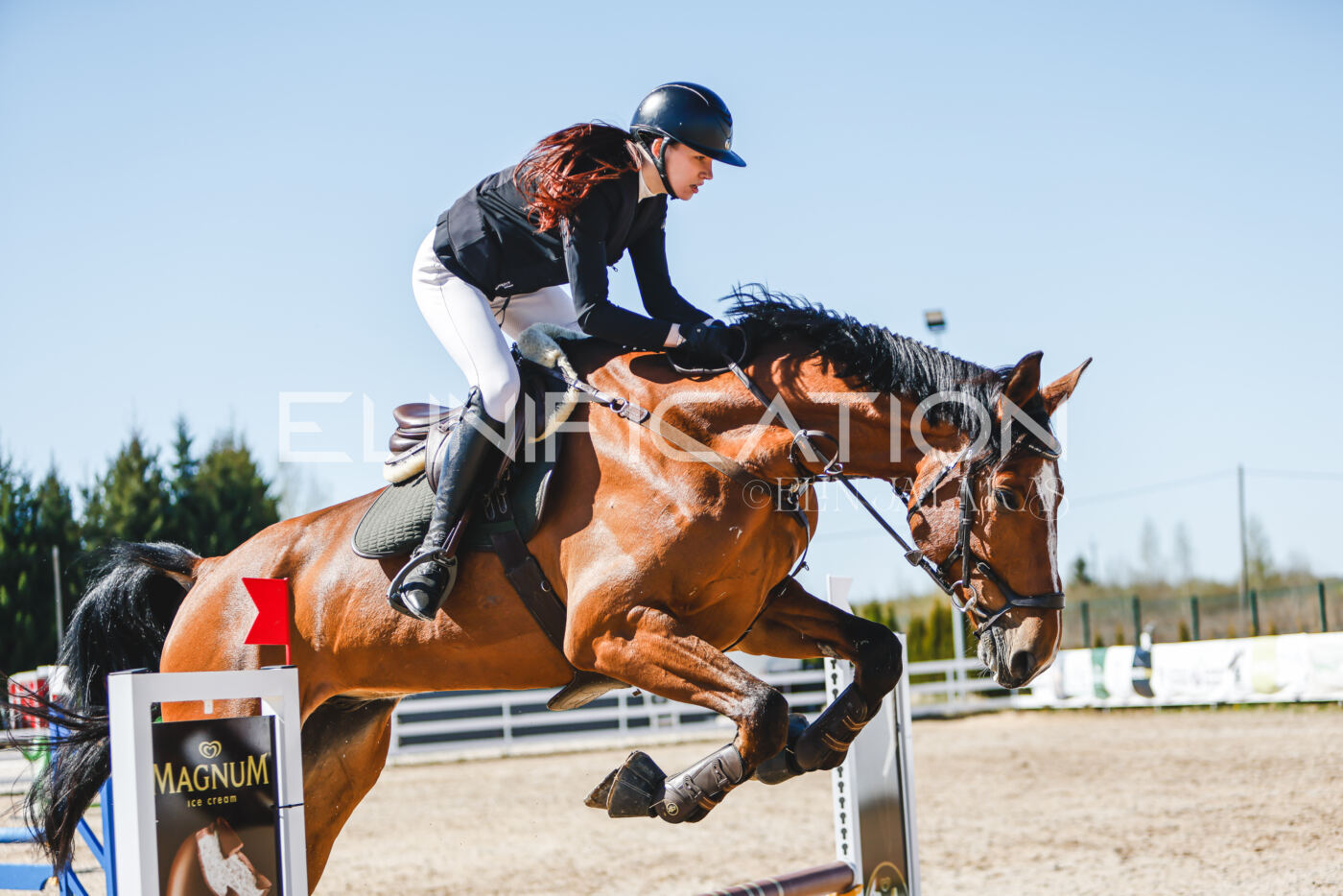 Gramina_Volber_2026_90_0366