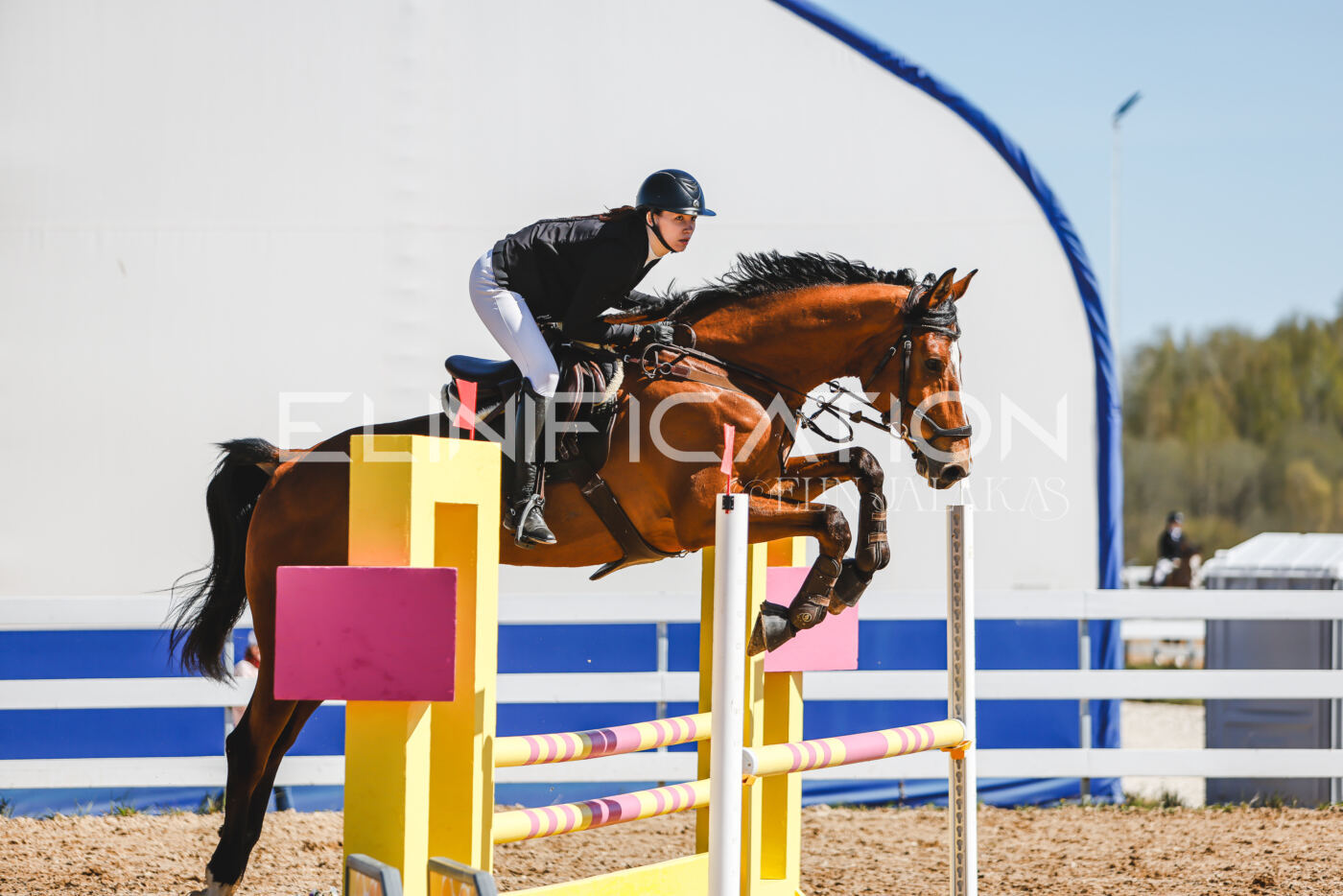 Gramina_Volber_2026_90_0367