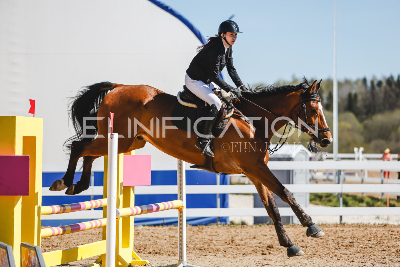 Gramina_Volber_2026_90_0371