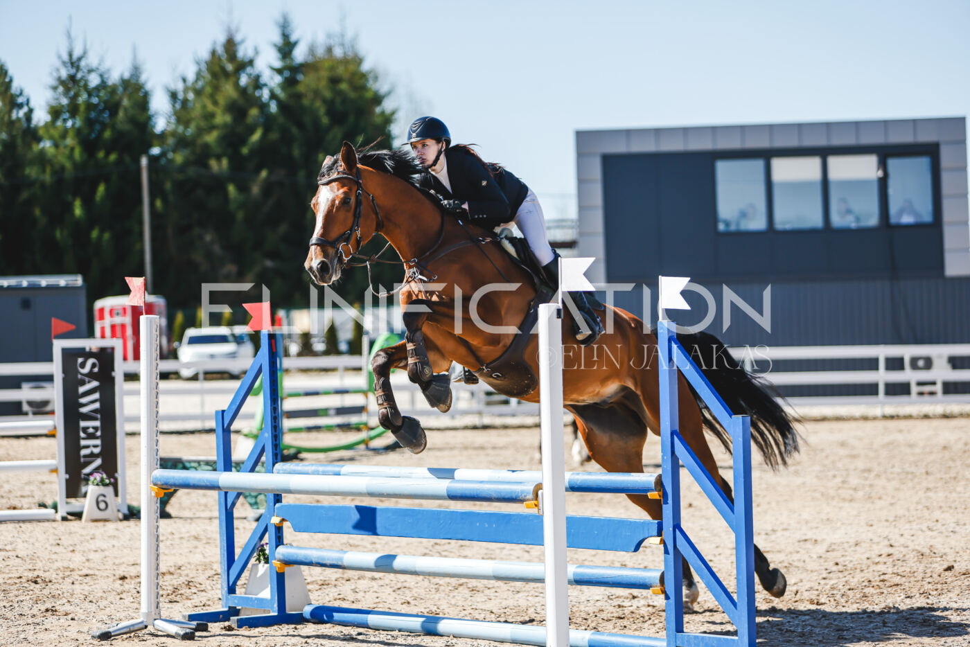 Gramina_Volber_2026_90_0372