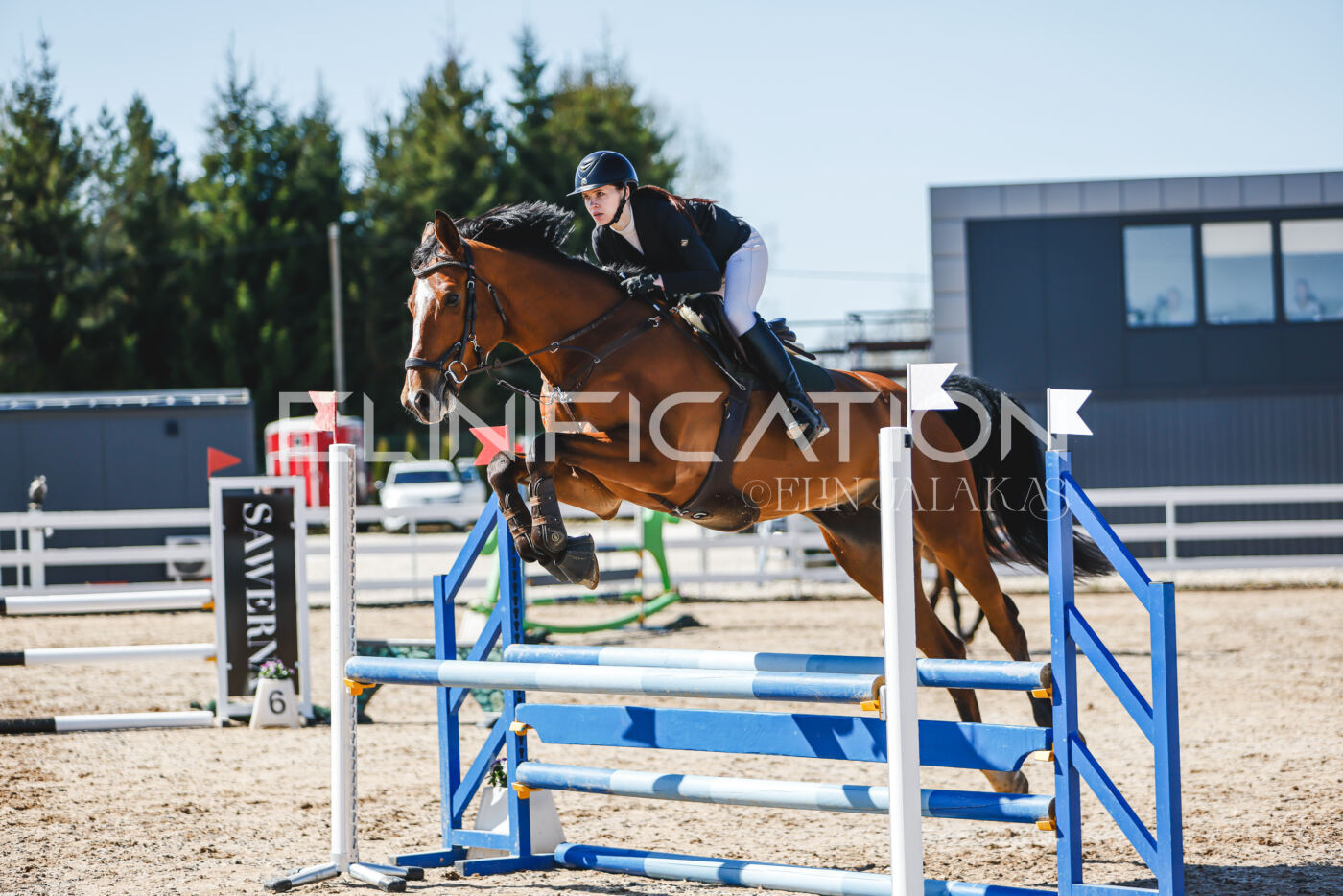 Gramina_Volber_2026_90_0374