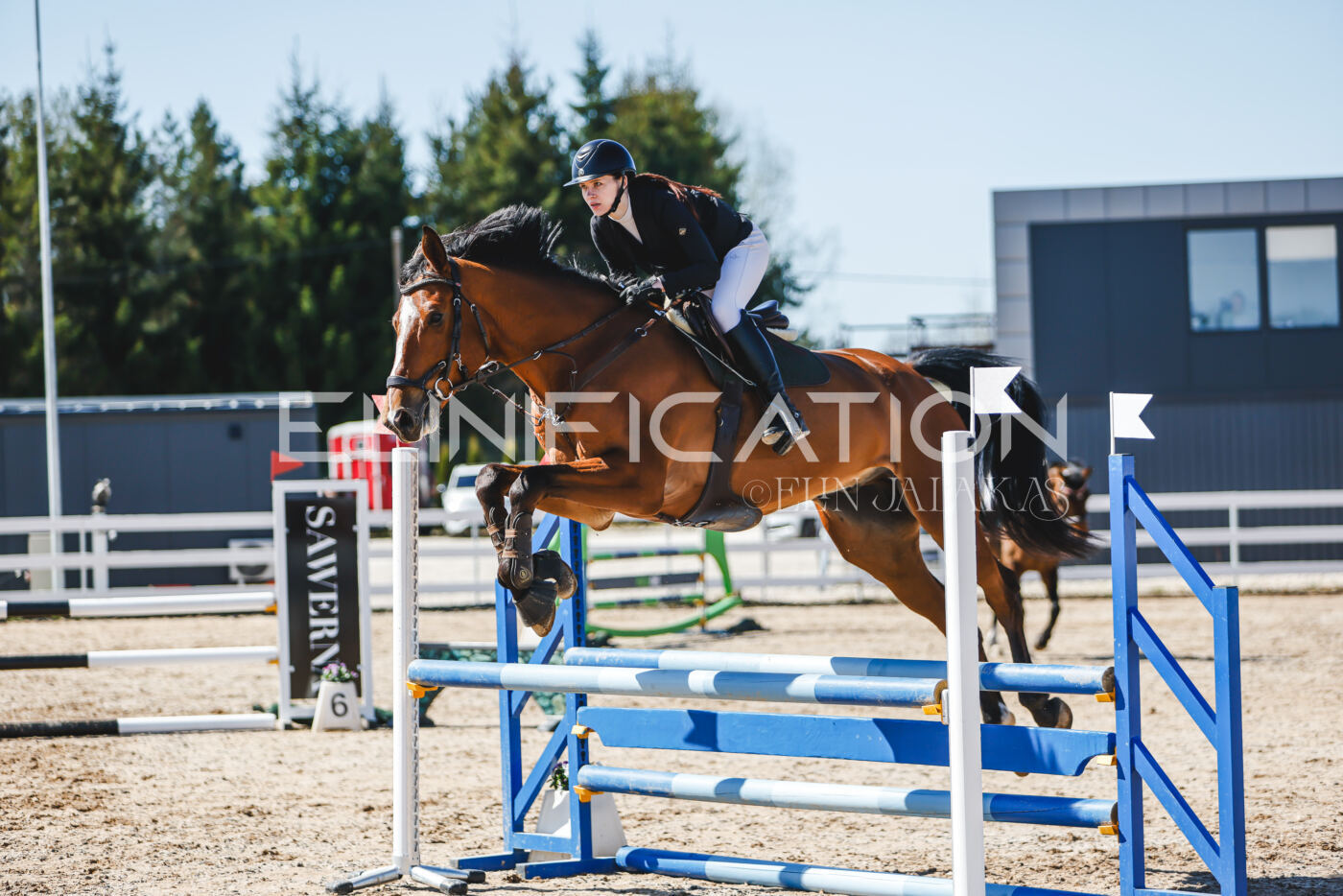 Gramina_Volber_2026_90_0375
