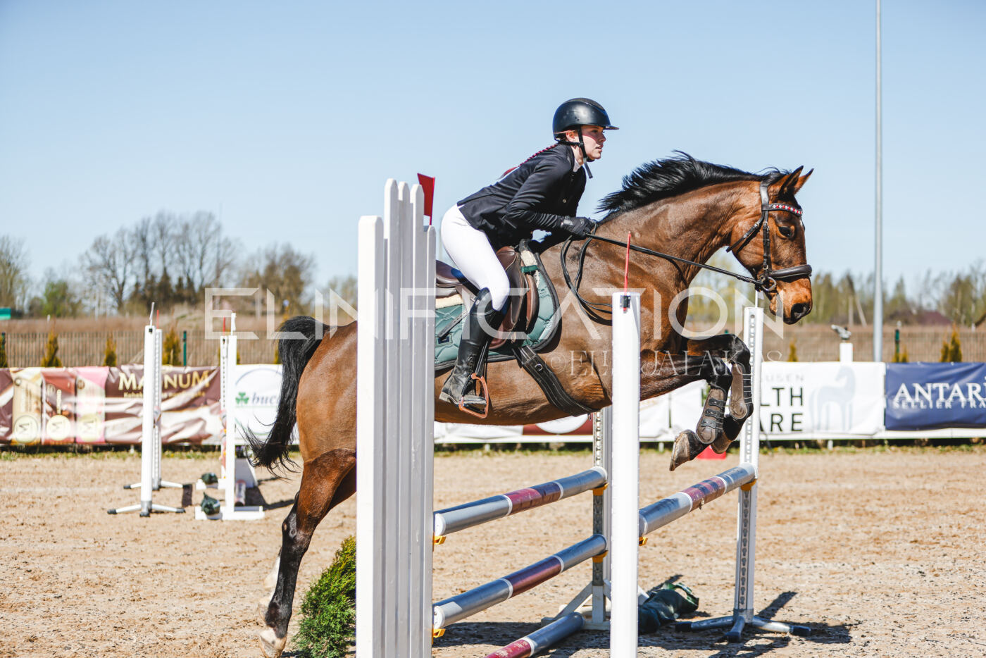 Gramina_Volber_2026_90_0386