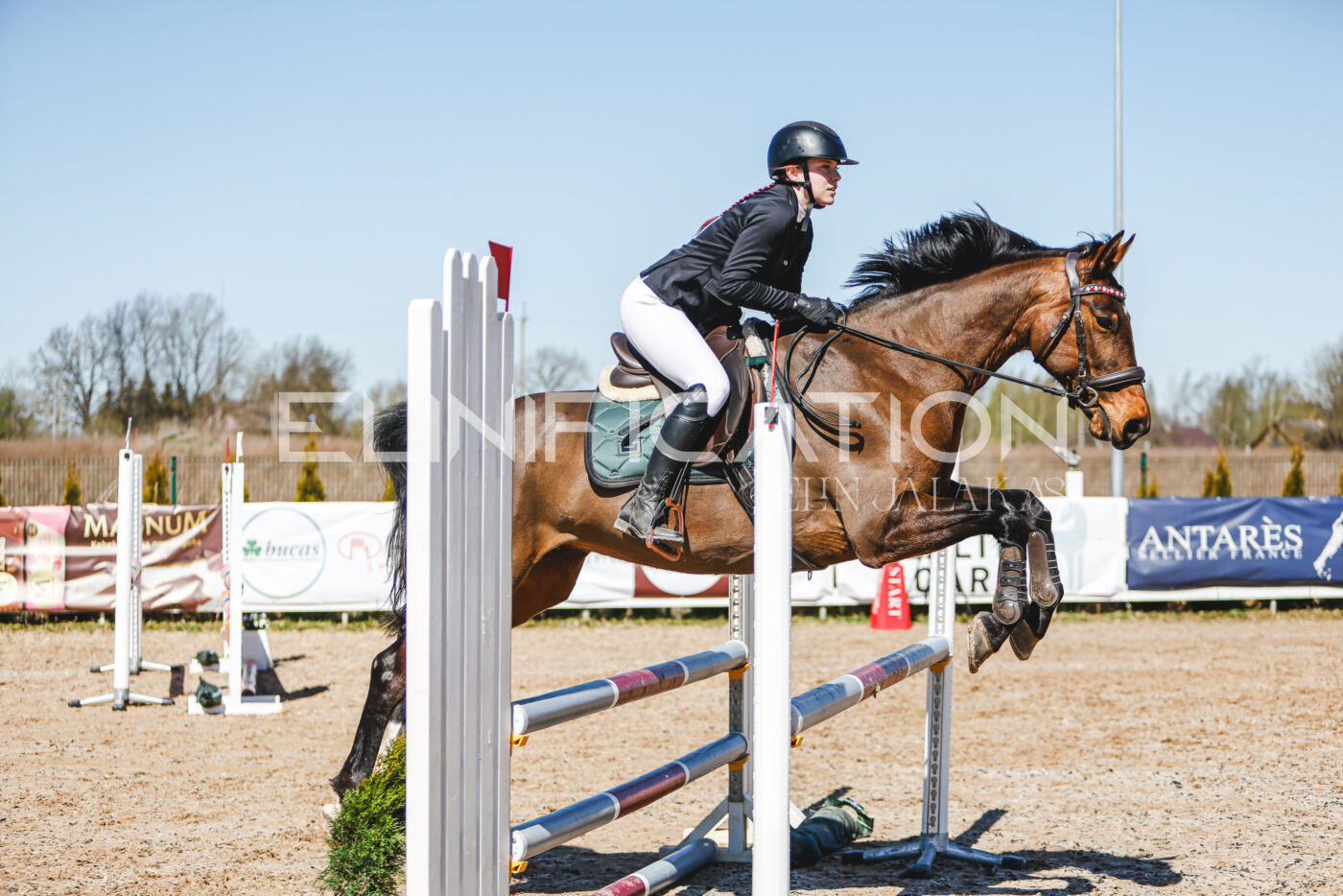 Gramina_Volber_2026_90_0387