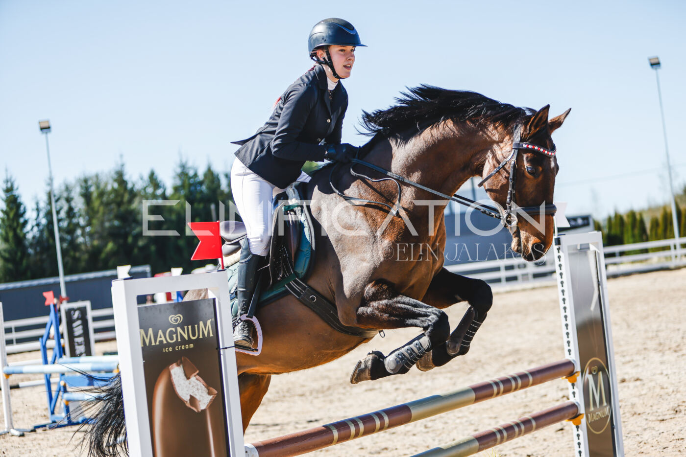 Gramina_Volber_2026_90_0398
