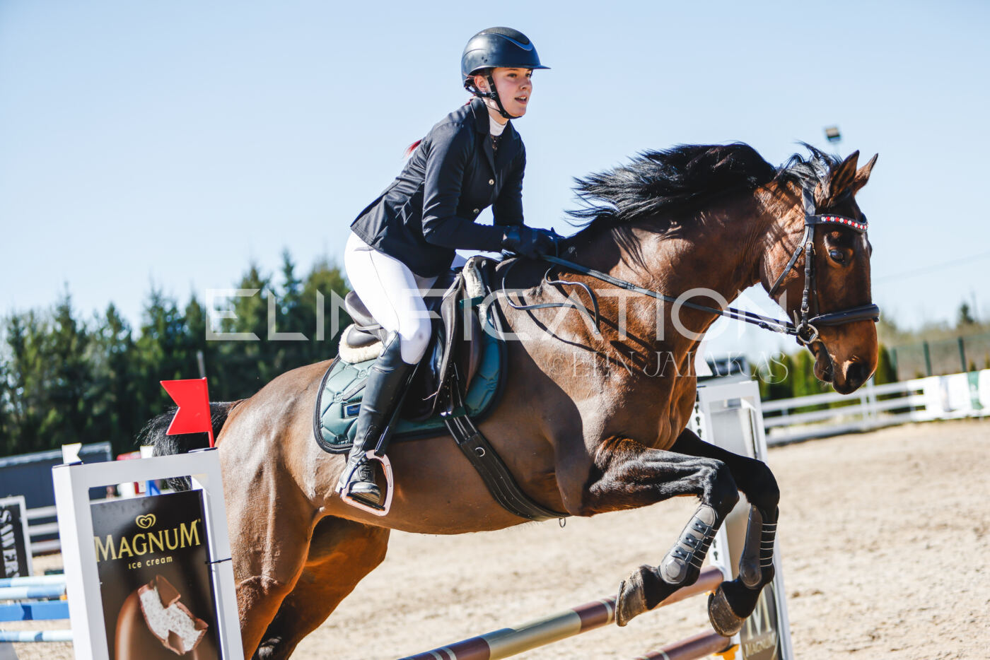 Gramina_Volber_2026_90_0400
