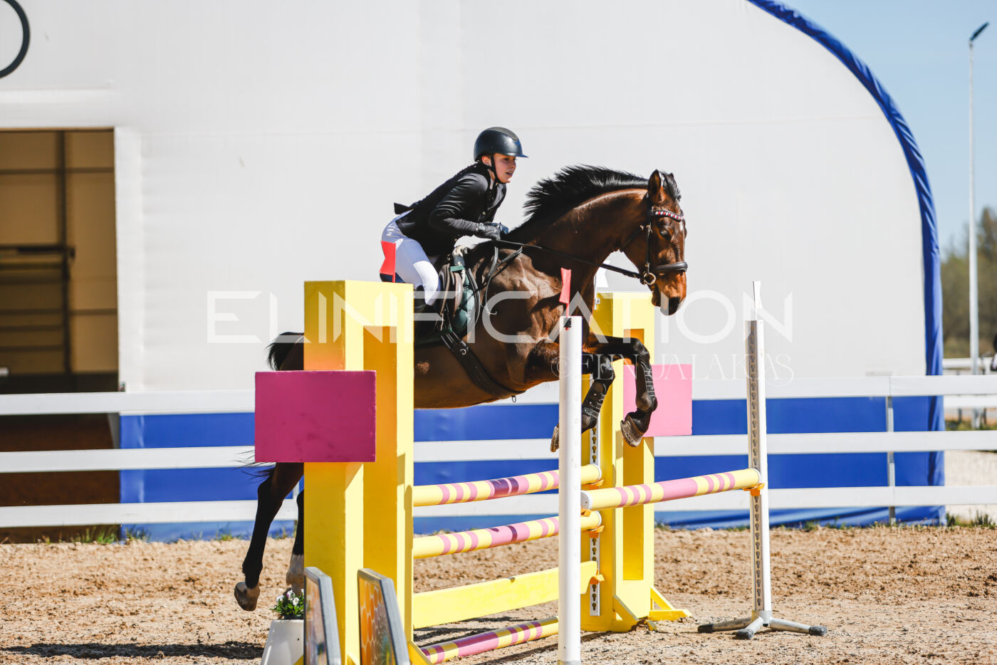 Gramina_Volber_2026_90_0401