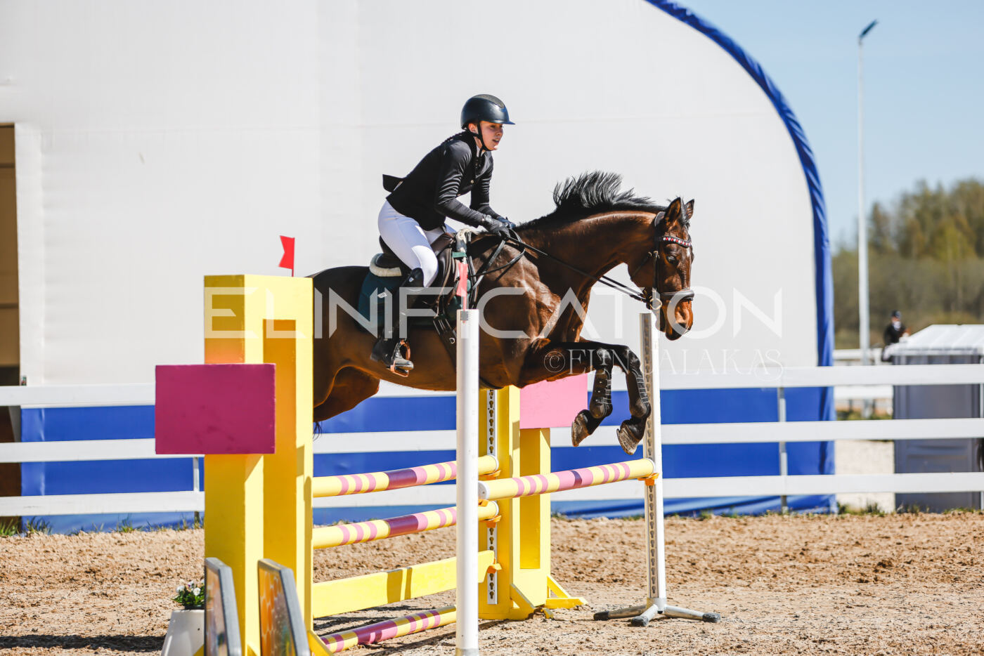 Gramina_Volber_2026_90_0403