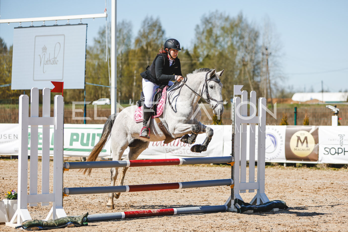 Gramina_Volber_2026_90_0419