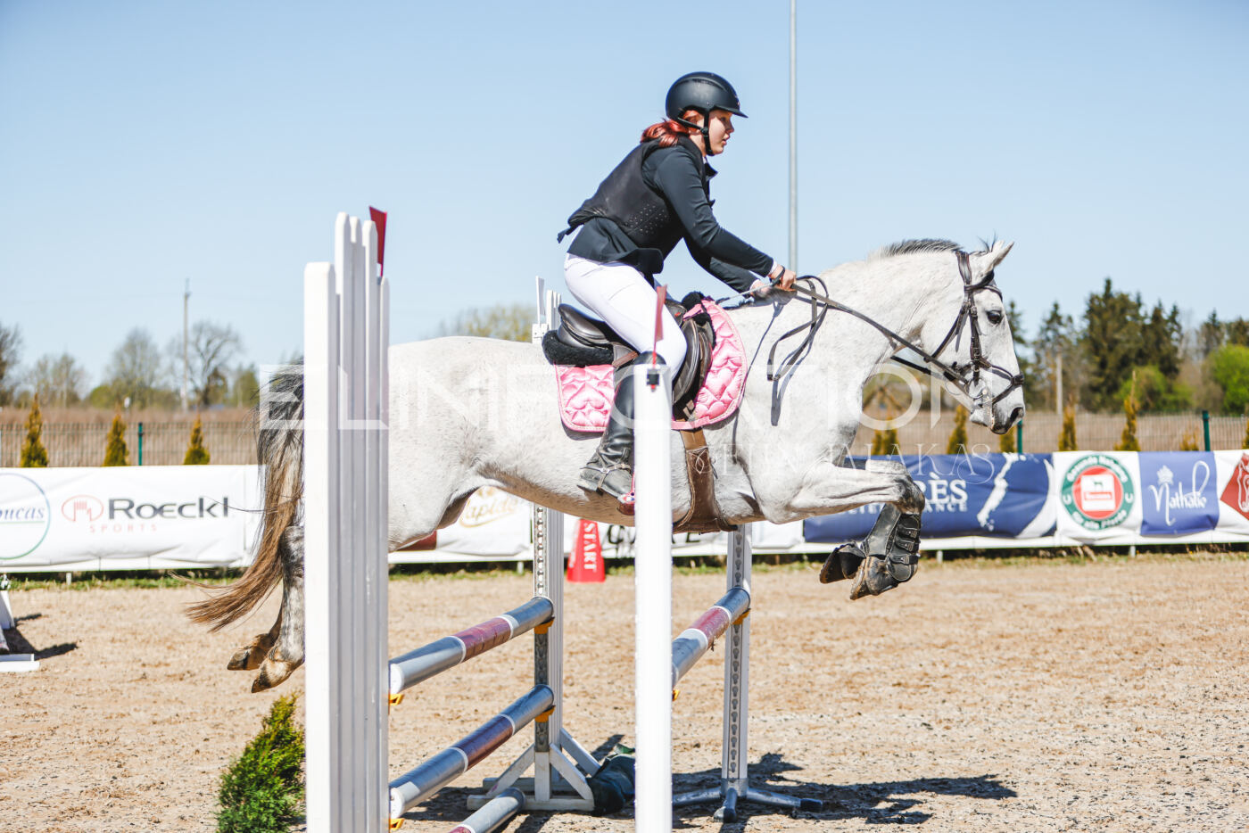 Gramina_Volber_2026_90_0427
