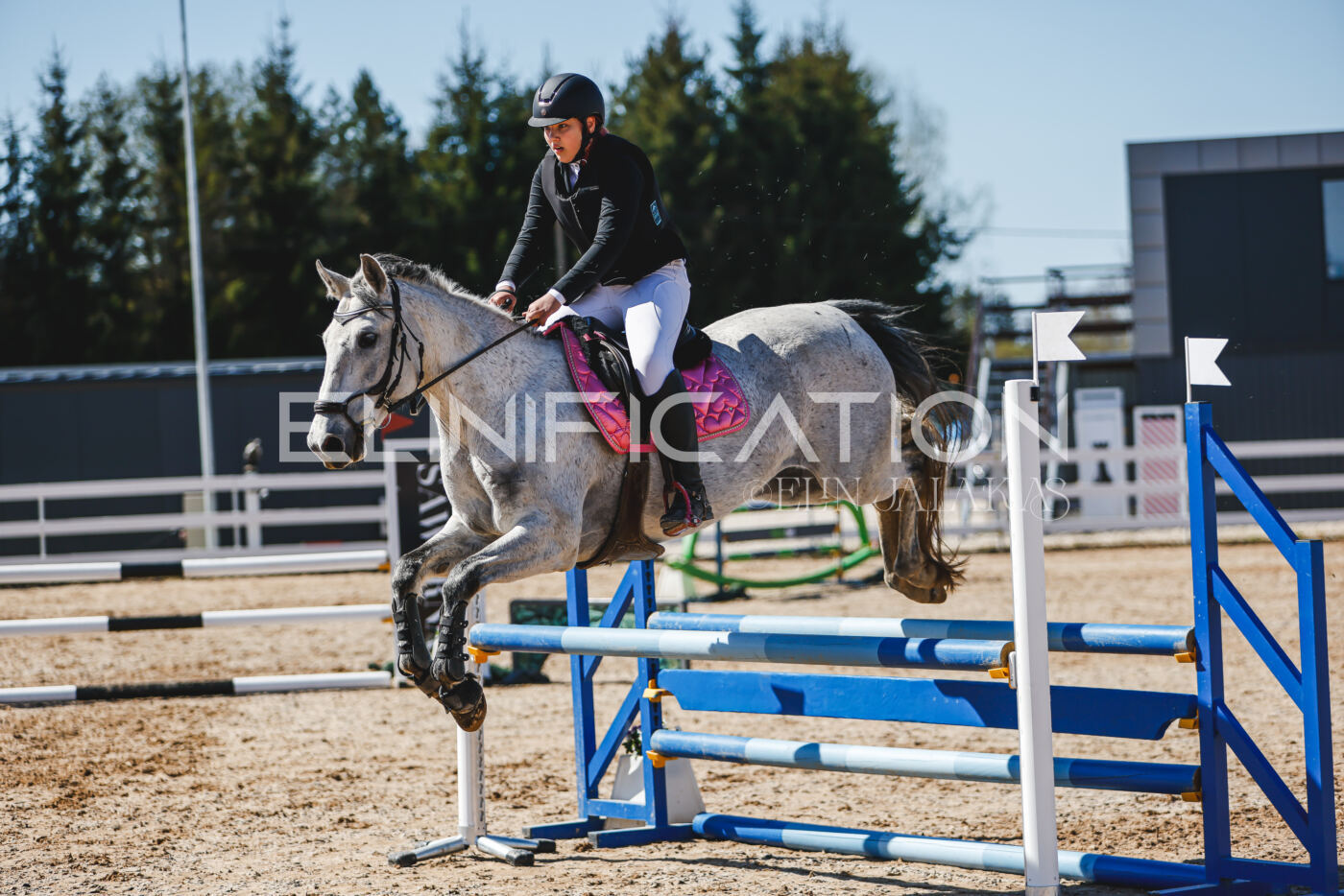 Gramina_Volber_2026_90_0453