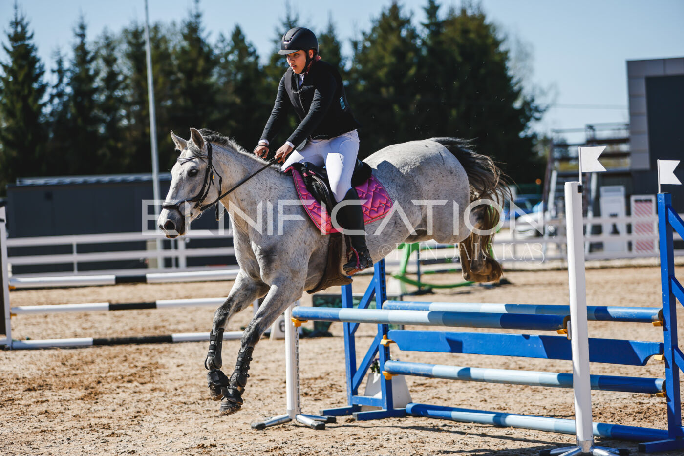 Gramina_Volber_2026_90_0454