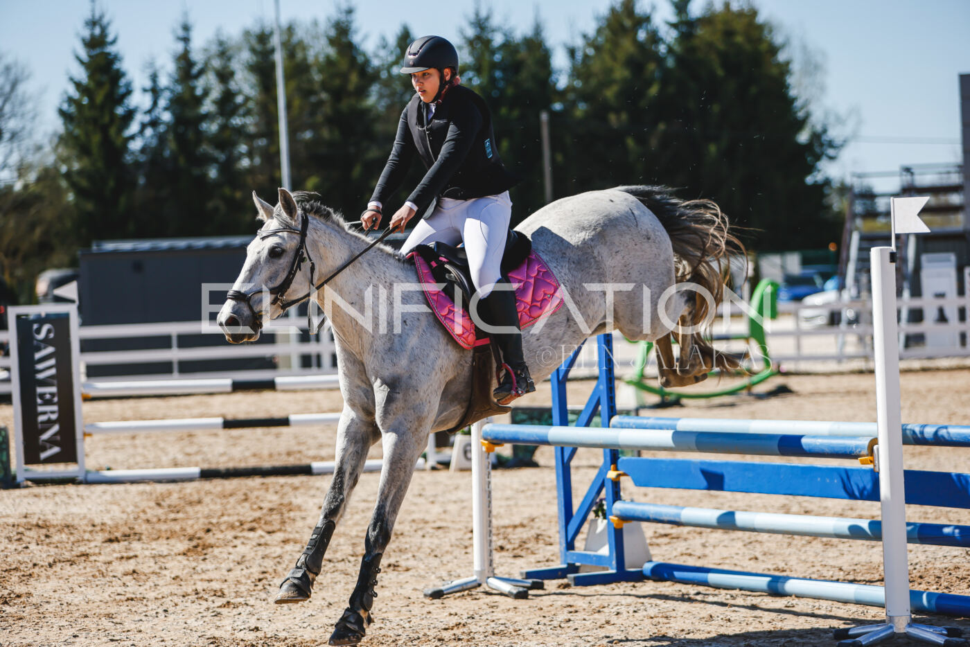 Gramina_Volber_2026_90_0455