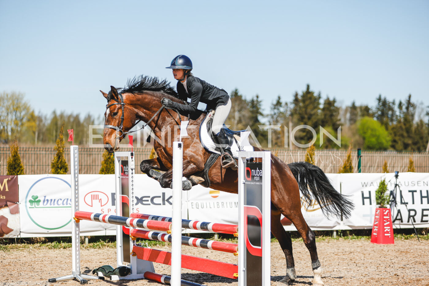 Gramina_Volber_2026_90_0456