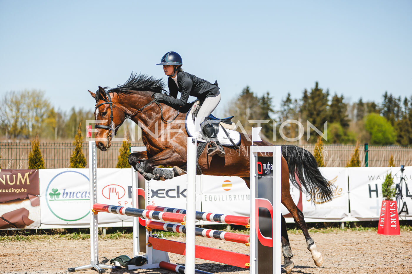 Gramina_Volber_2026_90_0457