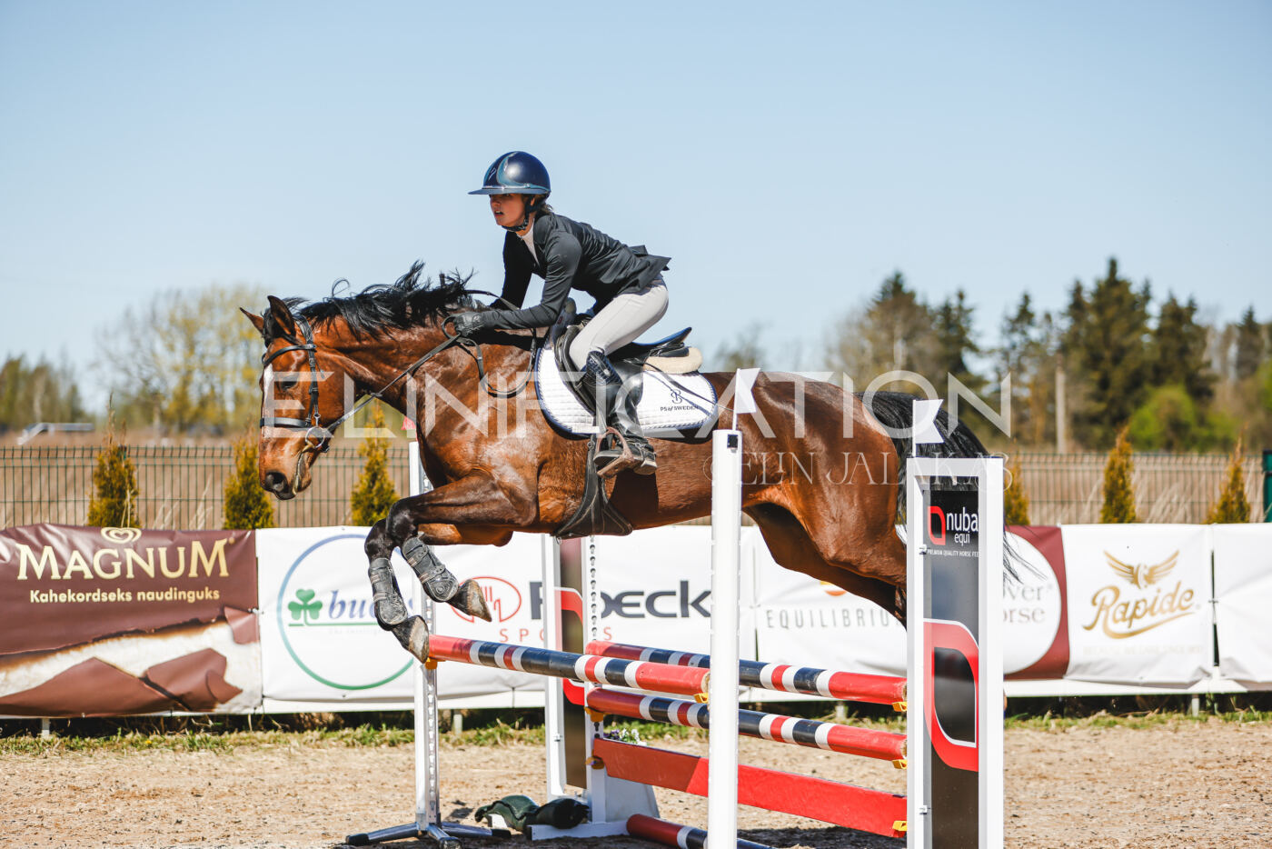 Gramina_Volber_2026_90_0459