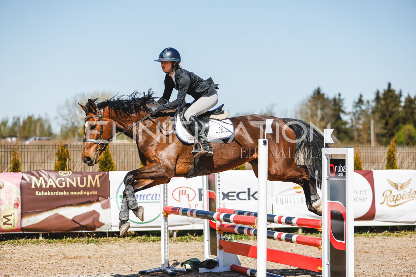Gramina_Volber_2026_90_0460