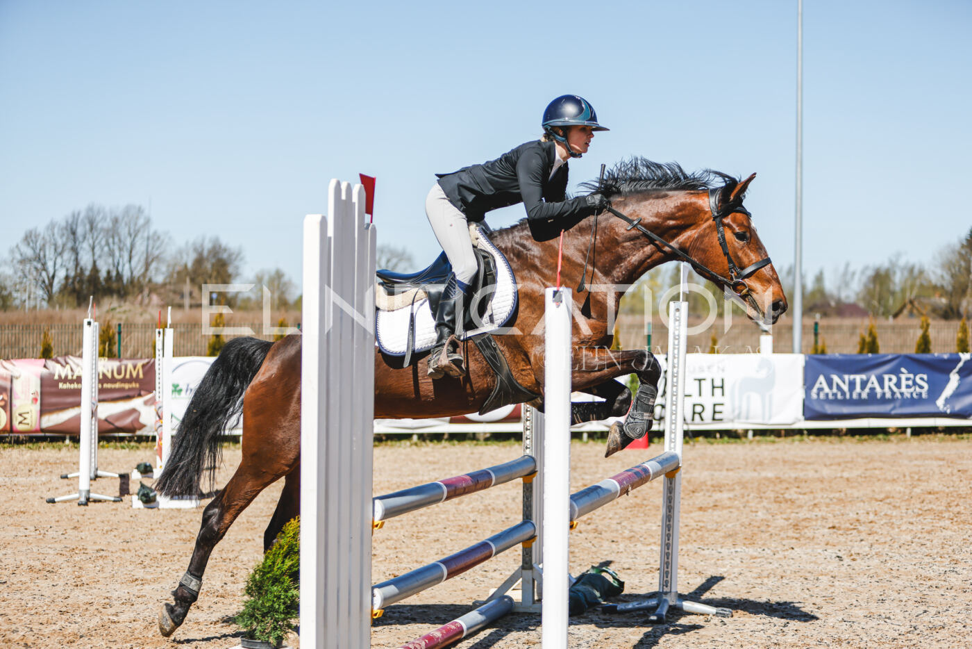 Gramina_Volber_2026_90_0467