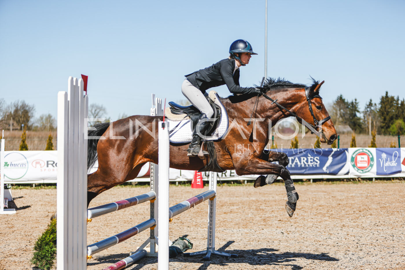 Gramina_Volber_2026_90_0469