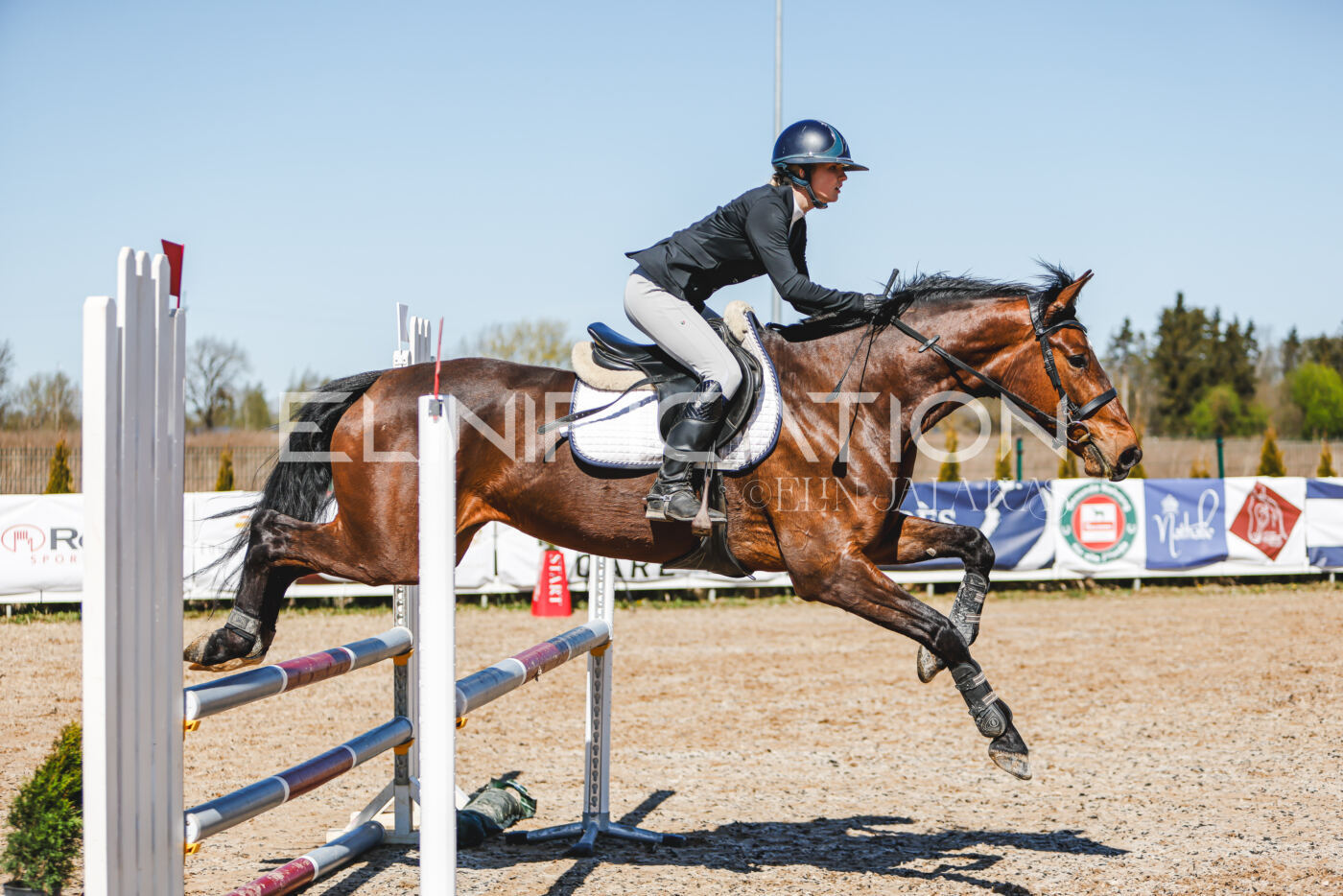 Gramina_Volber_2026_90_0470